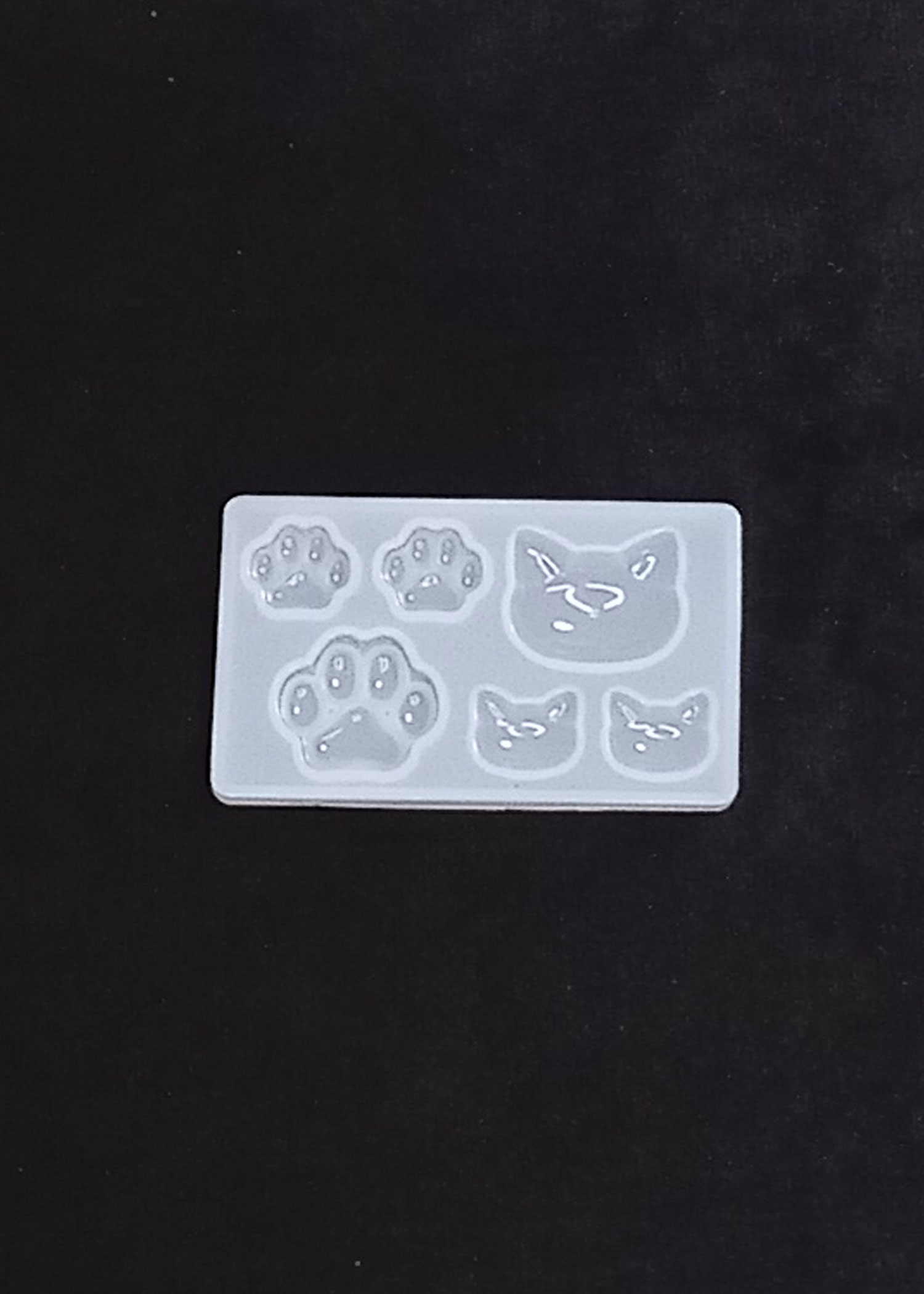 Molde gato patitas